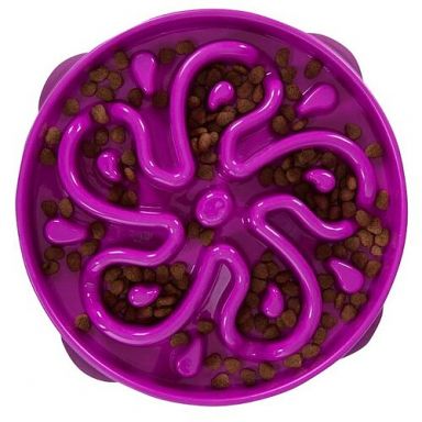Outward Hound - Non-Skid Fun Feeder Interactive Dog Bowl, Purple